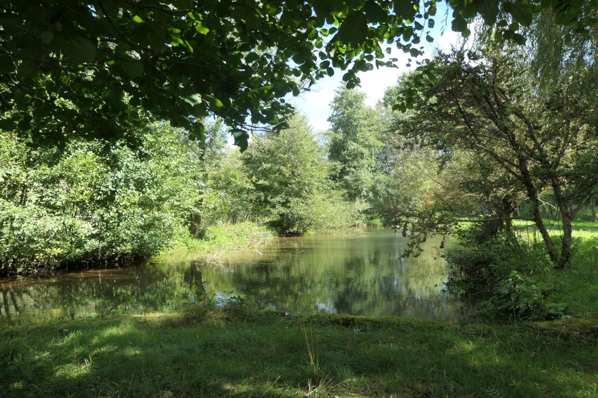 Le Moulin Aux Ecrevisses Bed and Breakfast Thonnance-lès-Joinville Eksteriør billede